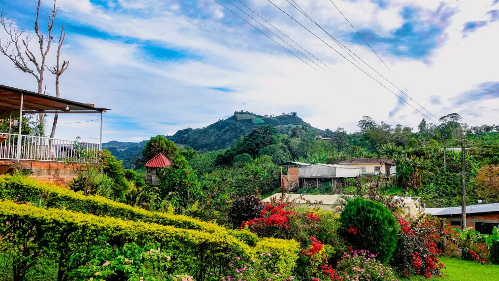 El Paisaje de Nuestro Café